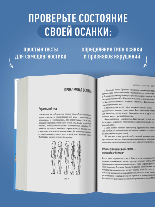 Здоровый позвоночник. Курс упражнений для поддержания осанки и избавления от боли