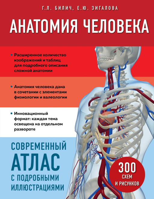 Анатомия человека. Современный атлас с подр.иллюс.