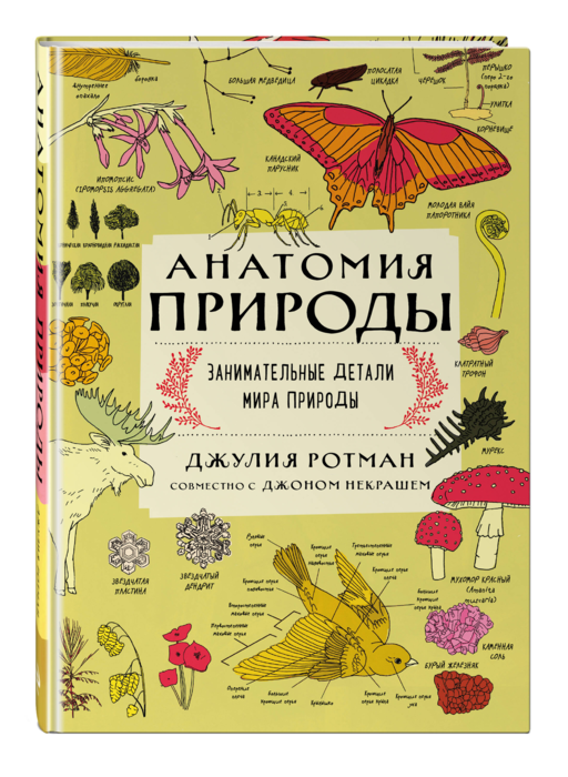 Анатомия природы. Занимат. детали мира природы