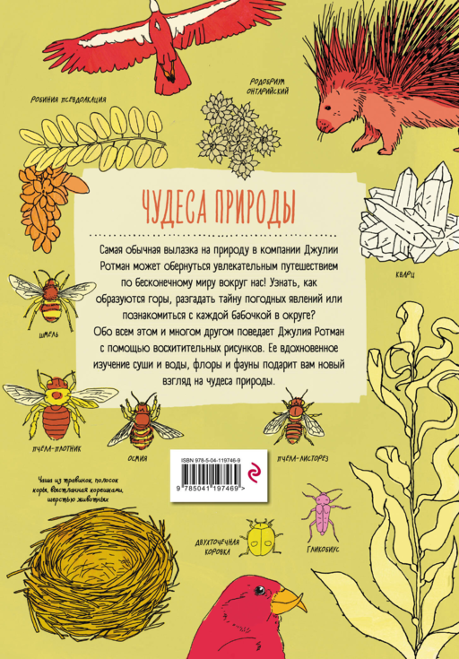 Анатомия природы. Занимат. детали мира природы