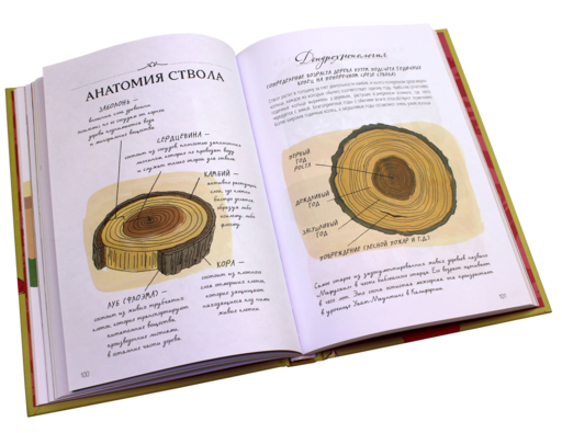 Анатомия природы. Занимат. детали мира природы