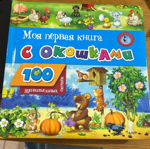 Моя первая книга с окошками