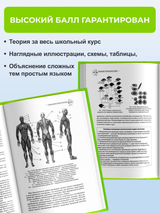 Биология. Справочник для подготовки к ЕГЭ, олимпиадам и поступлению в вуз