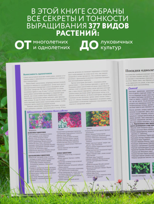 Библия садовых цветов. Однолетники, многолетники и луковичные. Советы по посадке, выращиванию и уходу