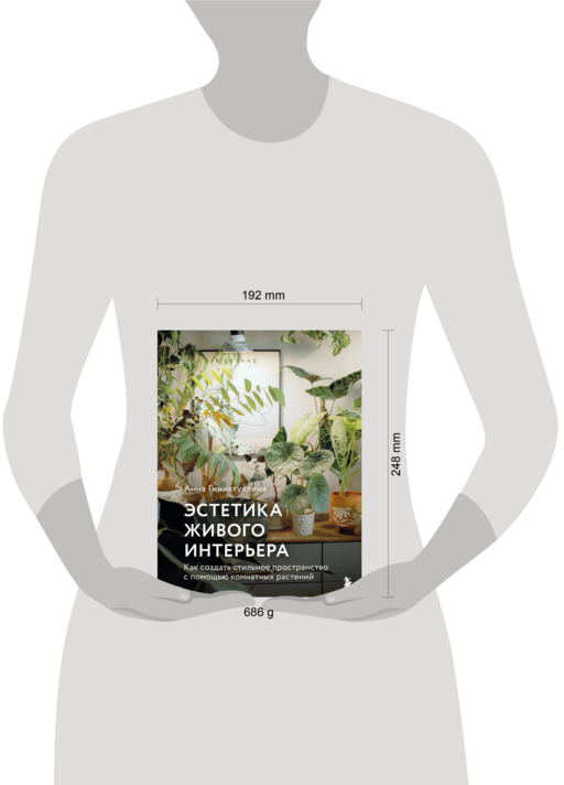 Эстетика живого интерьера. Как создать стильное пространство с помощью комнатных растений