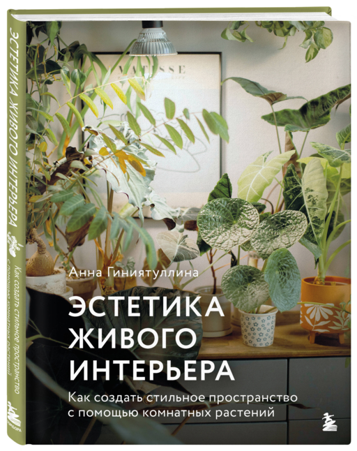 Эстетика живого интерьера. Как создать стильное пространство с помощью комнатных растений