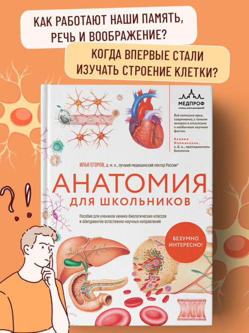Анатомия для школьников. Пособие для учеников химико-биологических классов и абитуриентов естественно-научных направлений