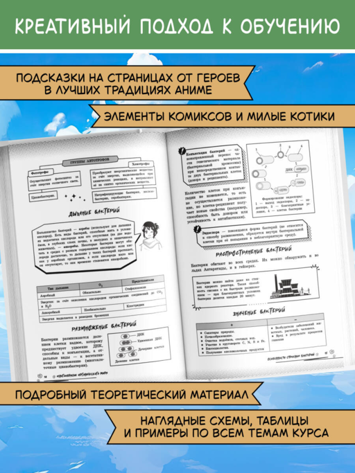 Биология: прокачай свой уровень на максимум