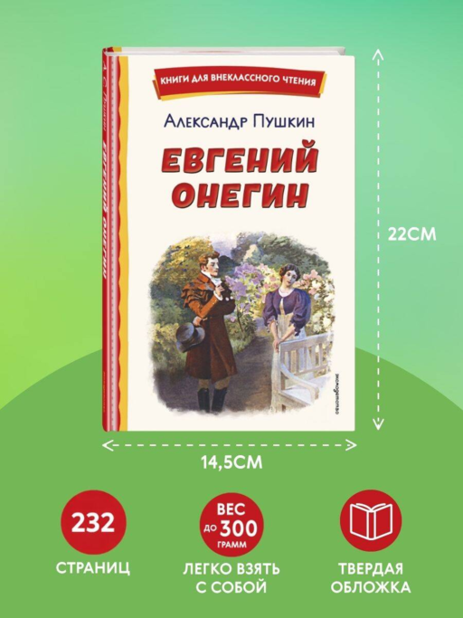 Евгений Онегин (ил. Е. Самокиш-Судковской)