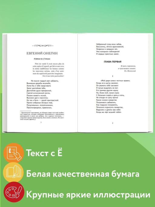 Евгений Онегин (ил. Е. Самокиш-Судковской)