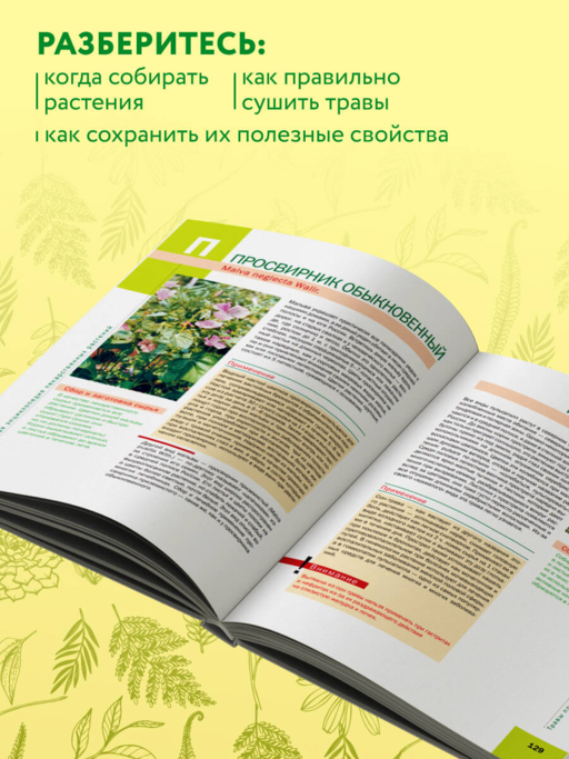 Большая иллюстрированная энциклопедия лекарственных растений