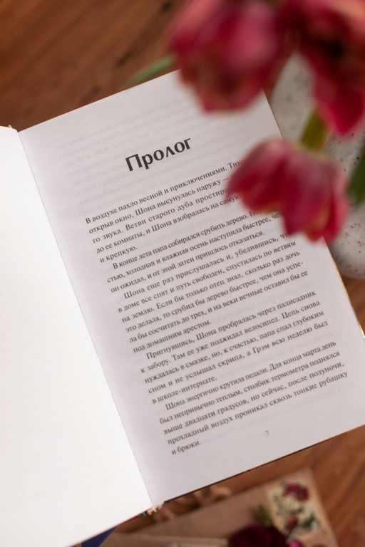 Книжная деревушка в Шотландии. Весна перемен