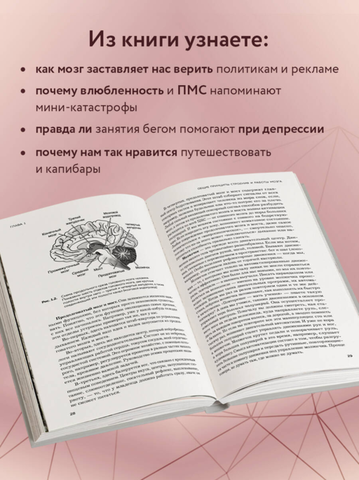 Мозг и его потребности. 2.0 от питания до признания