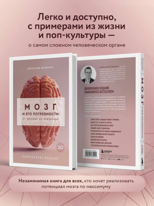 Мозг и его потребности. 2.0 от питания до признания