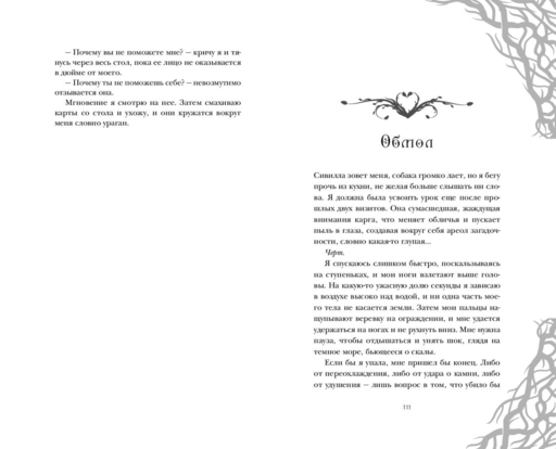 Ее темные крылья
