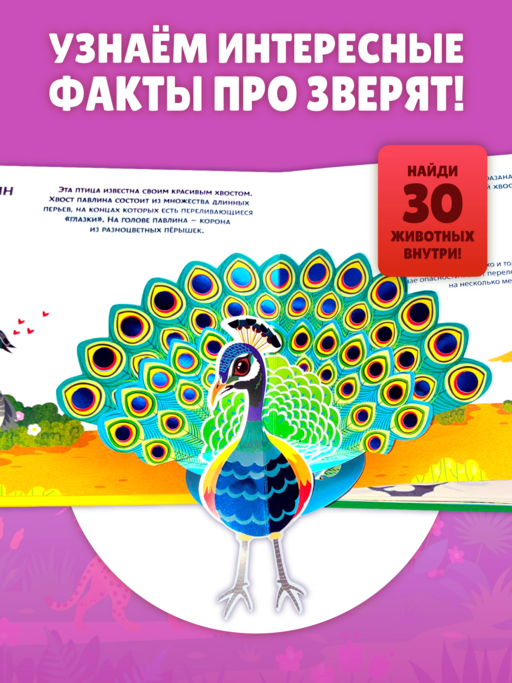 Животные мира. Тактильная книга-панорамка