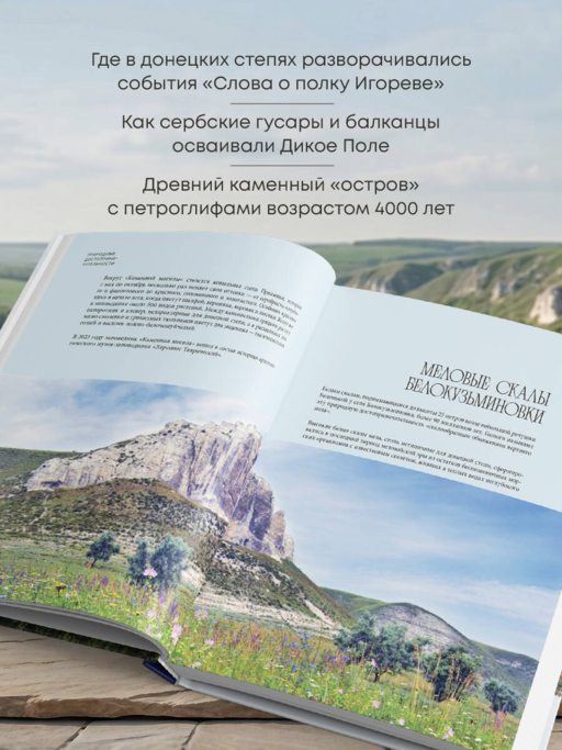 Донецкая и Луганская Республики. Наследие и будущее родного края