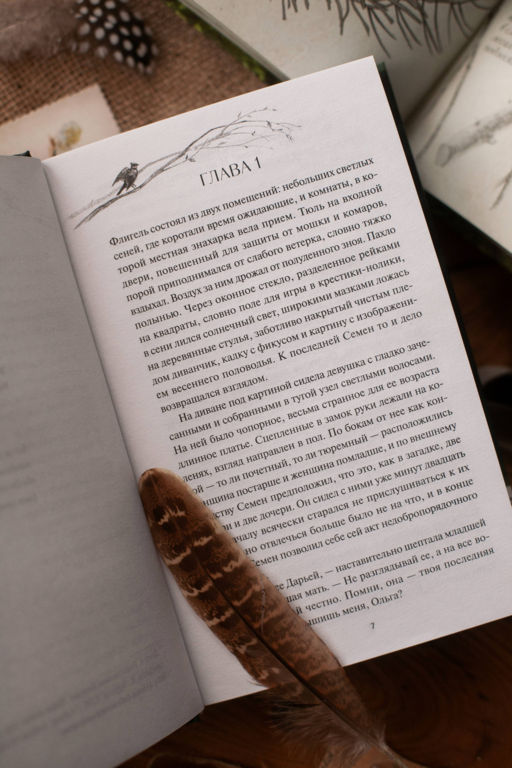 А леса у нас тихие