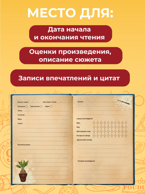 Гарри Поттер. Неофициальный читательский дневник (Букля)