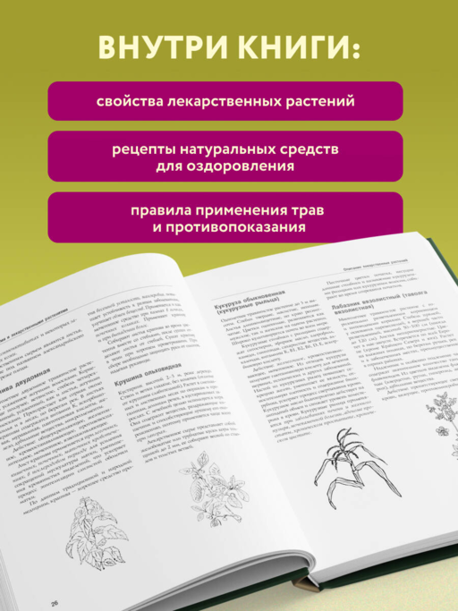 Энциклопедия народной медицины и натуропатии. Профилактика и лечение заболеваний народными средствами в домашних условиях