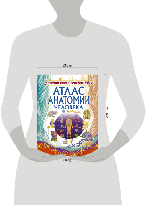 Детский иллюстрированный атлас анатомии человека