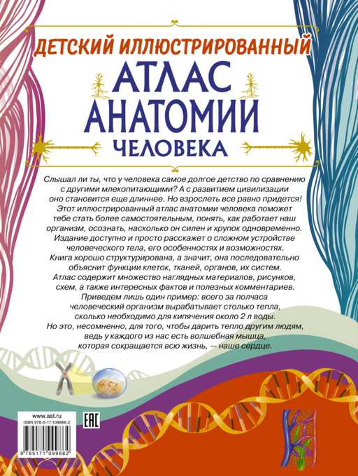 Детский иллюстрированный атлас анатомии человека