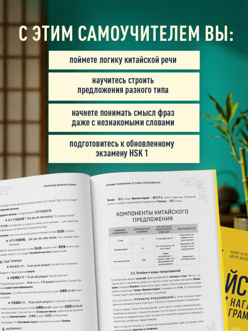 Китайский язык. Наглядная грамматика. HSK 1