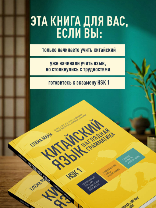 Китайский язык. Наглядная грамматика. HSK 1
