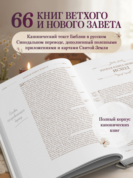 Библия в русском синодальном переводе с полями для записей