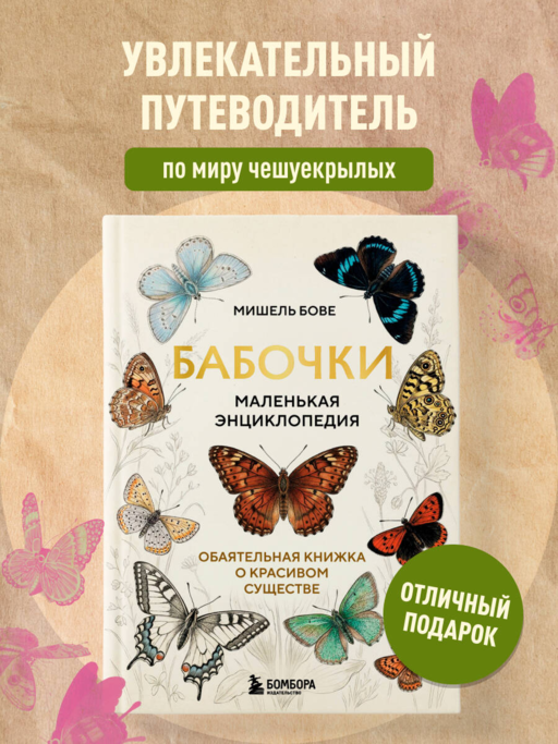 Бабочки! Маленькая энциклопедия. Обаятельная книжка о красивом существе