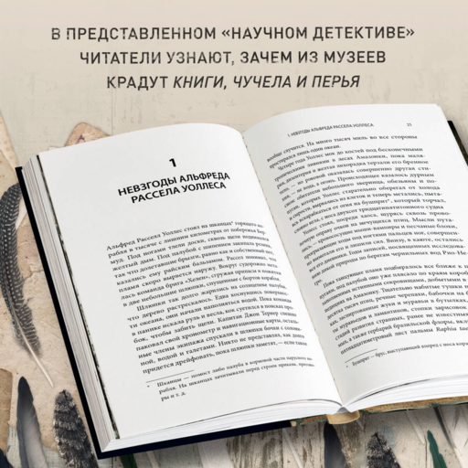 Похититель перьев или самая странная музейная кража