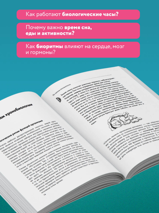 Биоритмы для здоровья. Рекомендации по режиму для хорошего самочувствия