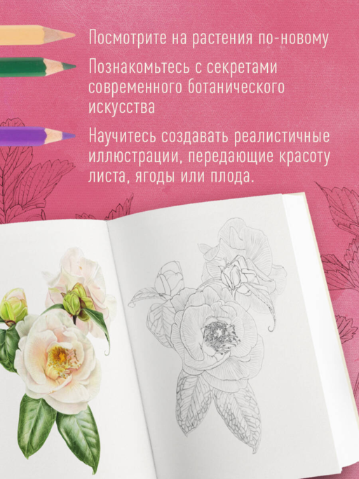 Большой ботанический альбом. Рисуем цветы цветными карандашами