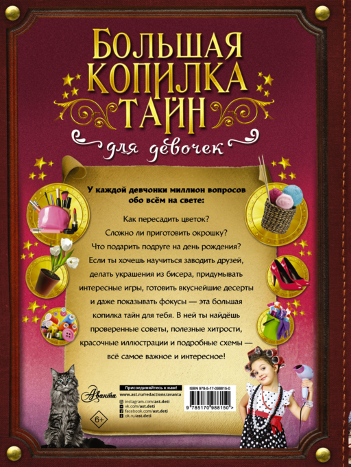 Большая копилка тайн для девочек