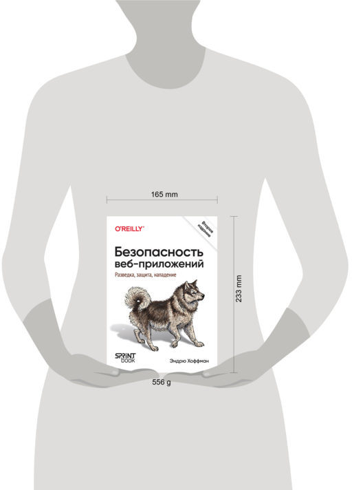 Безопасность веб-приложений. Разведка, защита, нападение. 2-е изд. Поиск уязвимостей в JavaScript