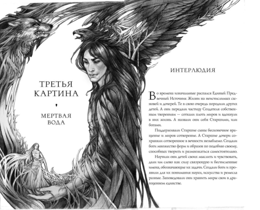 Тайна черного волка (#2)