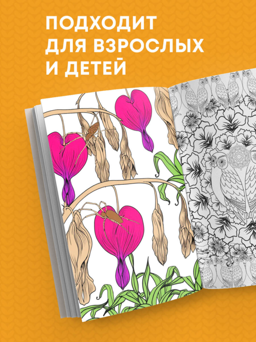 Загадочный лес.Мини-раскраска-антистресс для творчества и вдохновения.