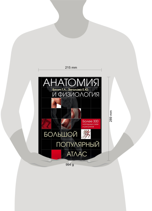 Анатомия и физиология. Большой популярный атлас