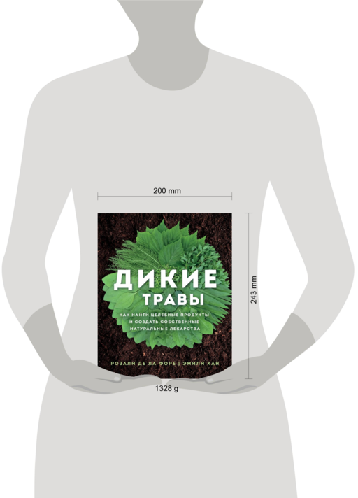 Дикие травы: как найти целебные продукты и создать собственные натуральные лекарства