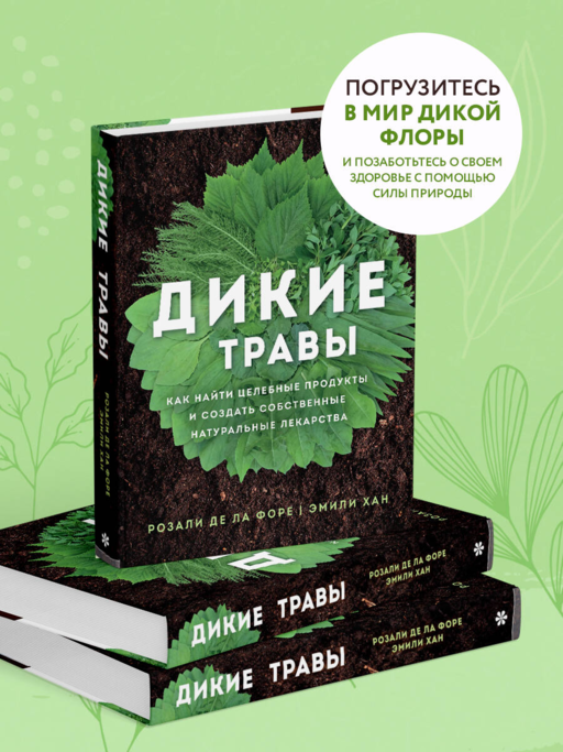 Дикие травы: как найти целебные продукты и создать собственные натуральные лекарства