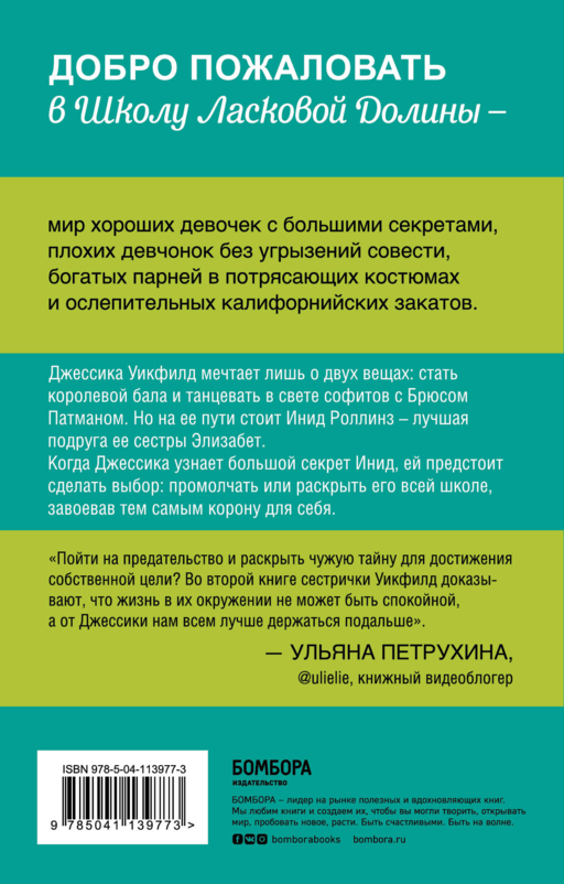 Школа в Ласковой Долине. Секреты (книга №2)