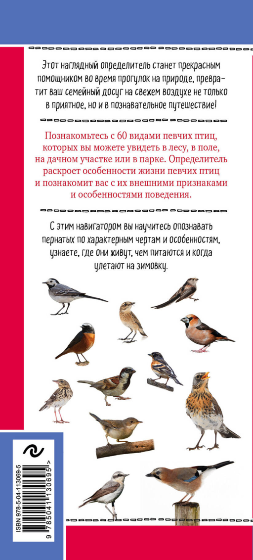 Певчие птицы. Обитатели лесов и полей