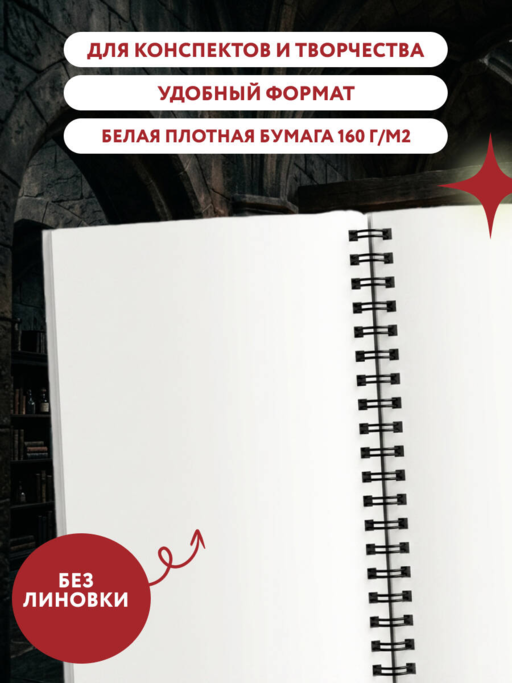 Скетчбук. Гарри Поттер. Платформа 9 и 3/4 (162х210 мм, на навивке, 40 л., плотность бумаги 160 гр.)