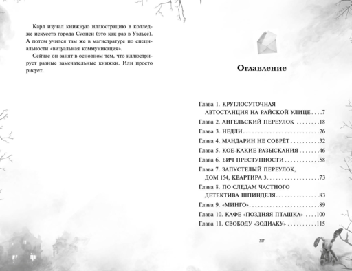 Поткин и Штуббс. Тайна мальчика-привидения (новое оформление)