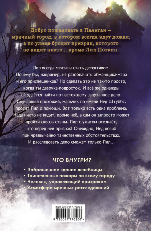 Поткин и Штуббс. Тайна мальчика-привидения (новое оформление)