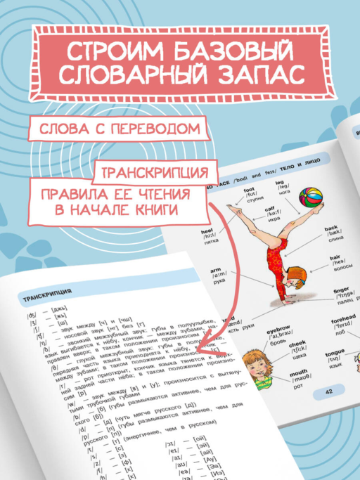 620 первых английских слов в иллюстрациях