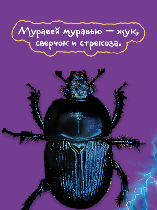 Жизнь насекомых
