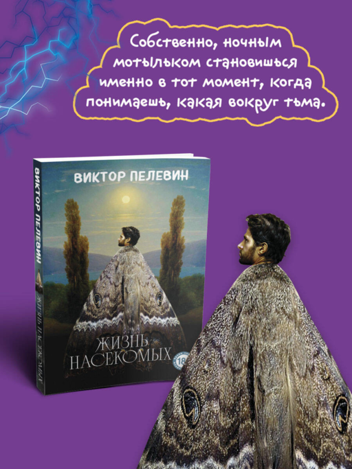 Жизнь насекомых