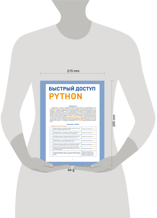 Быстрый доступ. Python: советы, функции, подсказки. Шпаргалка-буклет для начинающих (215х285 мм, 6 полос компактного буклета в европодвесе)
