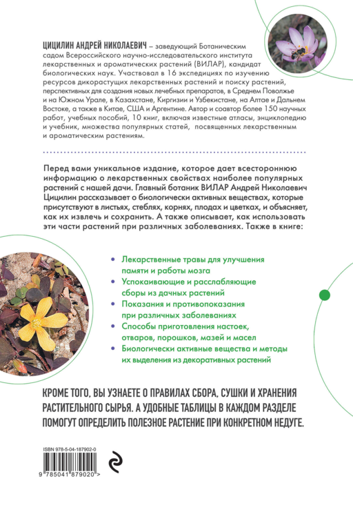 Декоративные лекарственные растения на даче. Как выращивать, заготавливать и применять 200 популярных видов